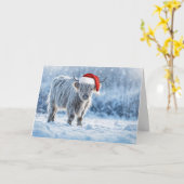 Highland Calf in the Snow Happy Holidays  Karte (Gelbe Blume)