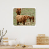 Highland Cattle 9Y316D-017 Poster (Küche)