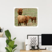 Highland Cattle 9Y316D-017 Poster (Heimbüro)