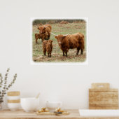 Highland Cattle 9Y316D-055 Poster (Küche)