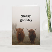 Highland Cattle Birthday Karte (Vorderseite)