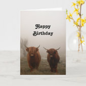 Highland Cattle Birthday Karte (Gelbe Blume)
