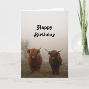 Highland Cattle Birthday Karte