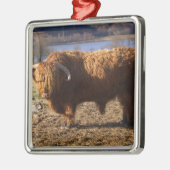 Highland Cattle Bull, Schottland Ornament Aus Metall (Links)