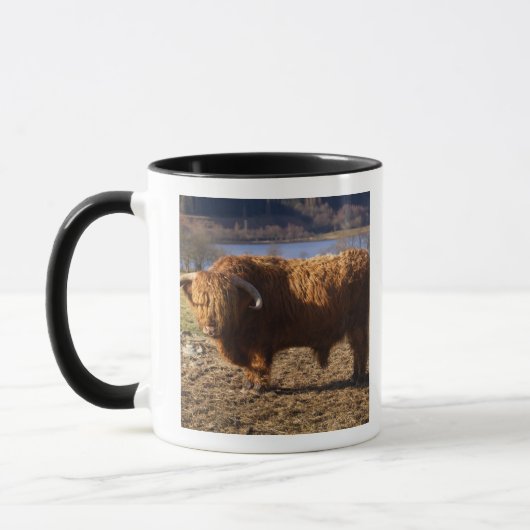 Highland Cattle Bull, Schottland Tasse (Links)