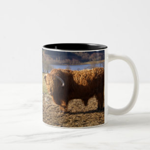 Highland Cattle Bull, Schottland Zweifarbige Tasse