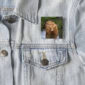 Highland Cattle Button (Beispiel)