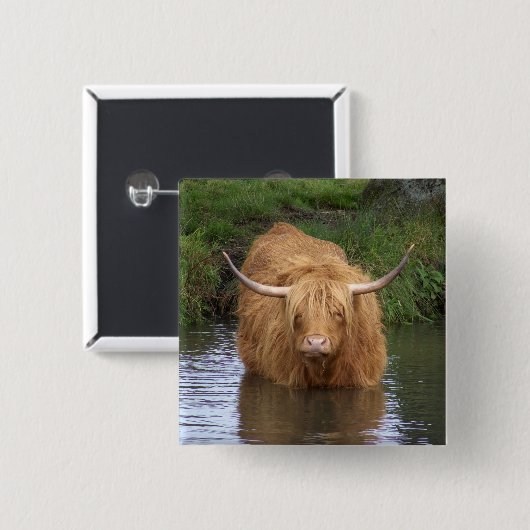 Highland Cattle Button (Vorne & Hinten)
