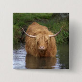 Highland Cattle Button (Vorderseite)
