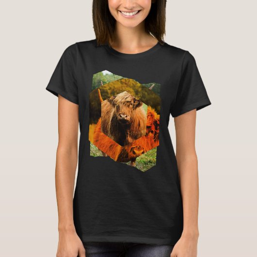 Highland Cattle Cow Highland Cattle Highland Cattl T-Shirt (Vorderseite)