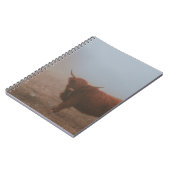 HIGHLAND CATTLE COW NOTIZBLOCK (Linke Seite)