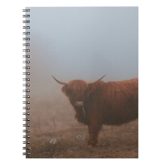 HIGHLAND CATTLE COW NOTIZBLOCK (Vorderseite)