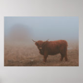 HIGHLAND CATTLE COW POSTER (Vorne)