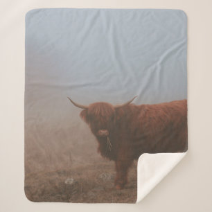 HIGHLAND CATTLE COW SHERPADECKE