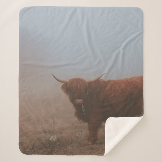 HIGHLAND CATTLE COW SHERPADECKE (Vorderseite)