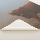 HIGHLAND CATTLE COW SHERPADECKE (3/4)