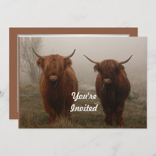 Highland Cattle Fog Foto Birthday Einladung