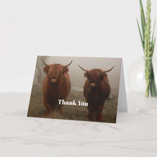 Highland Cattle Fog Foto Dankeskarte (Vorderseite)