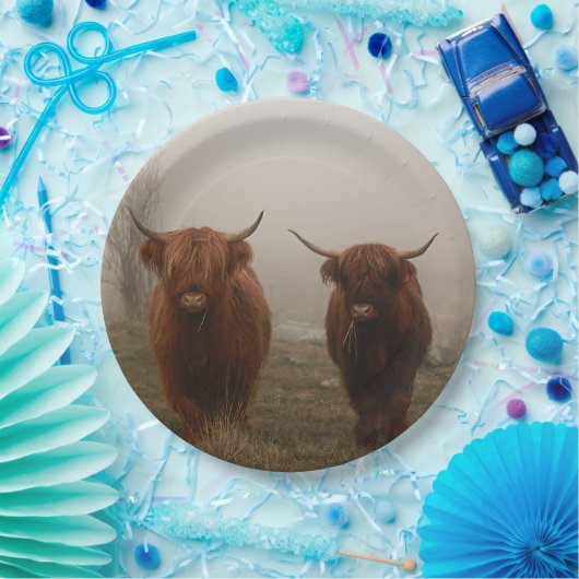 Highland Cattle Fog Foto Pappteller (Party)