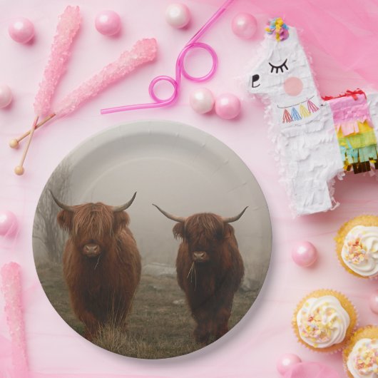Highland Cattle Fog Foto Pappteller (Party)
