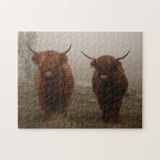 Highland Cattle Fog Foto Puzzle (Horizontal)