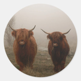 Highland Cattle Fog Foto Runder Aufkleber