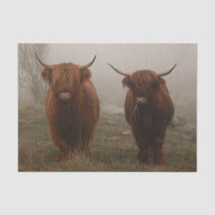 Highland Cattle Fog Foto Seidenpapier