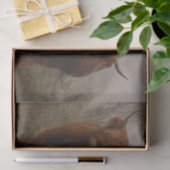 Highland Cattle Fog Foto Seidenpapier (Geschenk)