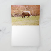 Highland Cattle Grazing Karte (Innenseite)