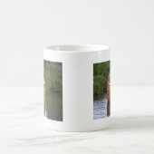 Highland Cattle Kaffeetasse (Mittel)