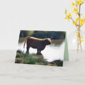 Highland Cattle Karte (Gelbe Blume)