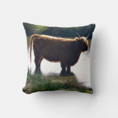 Highland Cattle Kissen (Vorderseite)