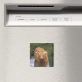 Highland Cattle Magnet (In Situ (Geschirrspüler))
