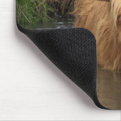 Highland Cattle Mousepad (Ecke)