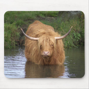Highland Cattle Mousepad
