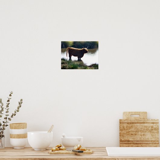 Highland Cattle Poster (Küche)