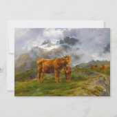 Highland Cattle | Rosa Bonheur (Vorderseite)