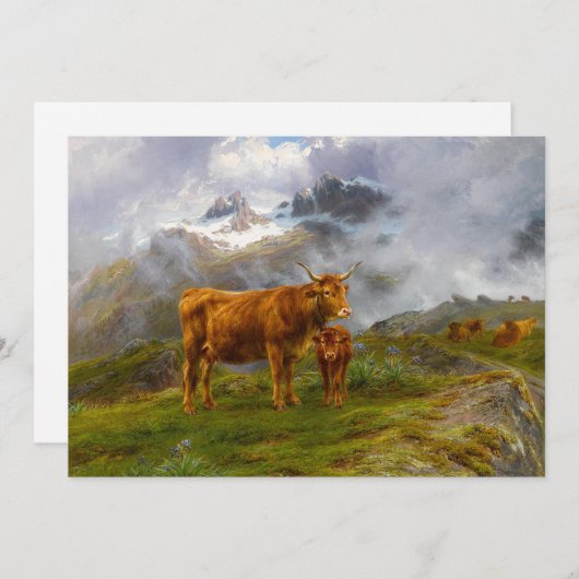 Highland Cattle | Rosa Bonheur (Vorne/Hinten)