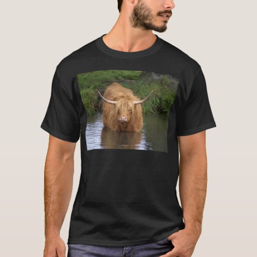 Highland Cattle T-Shirt (Vorderseite)