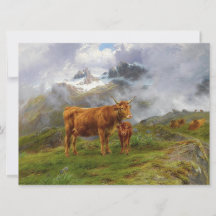 Highland Cattle (von Rosa Bonheur)