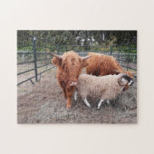 Highland Coos and Sheep Jigsaw Puzzle (Horizontal)
