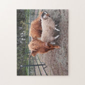 Highland Coos and Sheep Jigsaw Puzzle (Vertikal)