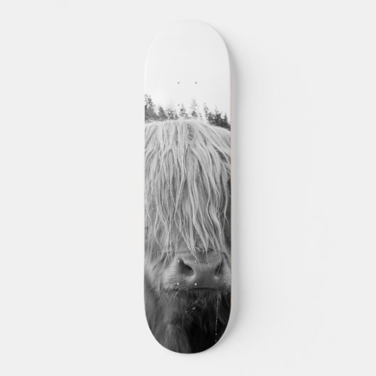 Highland Cow #6 #wall #art Skateboard (Vorderseite)