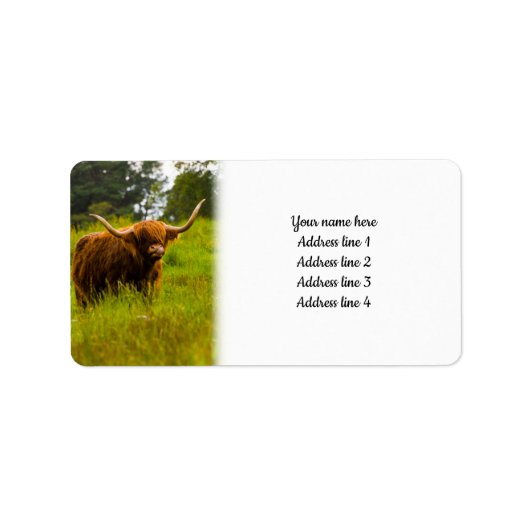Highland Cow Adressaufkleber (Vorne)