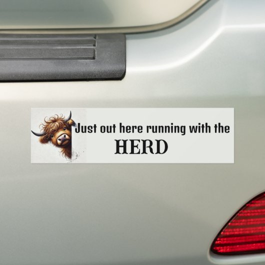 Highland Cow Autoaufkleber (Auf Auto)