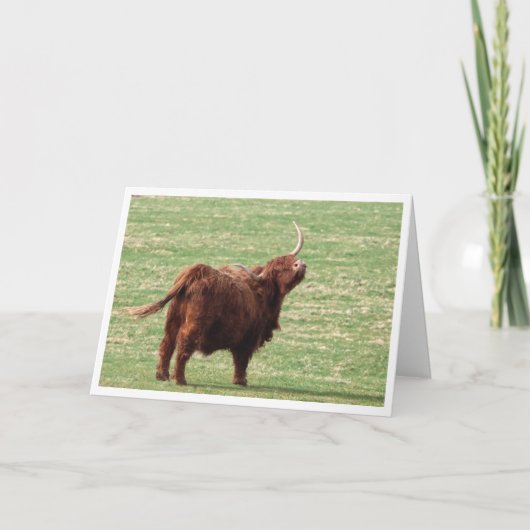 Highland cow Birthday card Dankeskarte (Vorderseite)