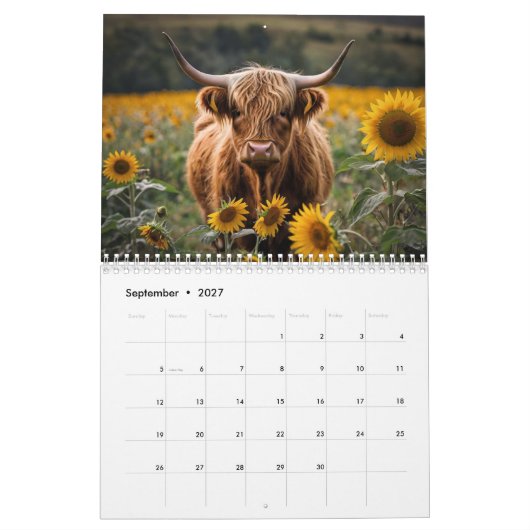 Highland Cow Calendar Kalender (Sep 2027)