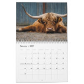 Highland Cow Calendar Kalender (Feb 2027)