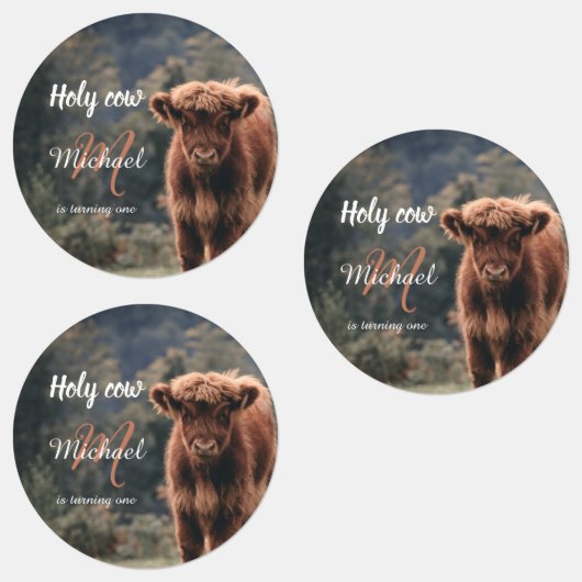 Highland cow calf monogram first birthday party etiketten (Gruppe)