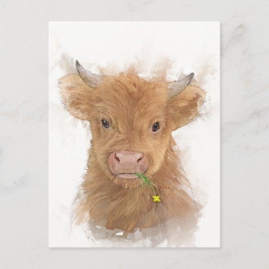 Highland Cow Calf Portrait Postkarte (Vorderseite)